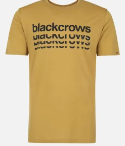 T-Shirt Homme Merino Bc Manches Courtes