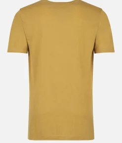 T-Shirt Homme Merino Bc Manches Courtes