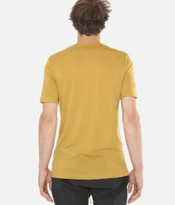 T-Shirt Homme Merino Bc Manches Courtes